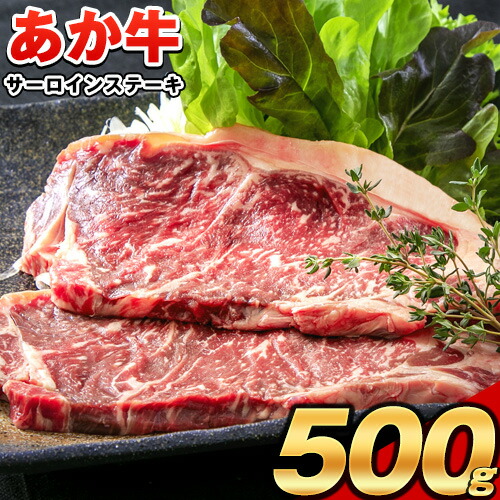 あか牛（褐毛和牛） サーロイン ステーキ 500g 牛肉 冷凍《30日以内に出荷予定(土日祝除く)》 2626285 - 熊本県津奈木町