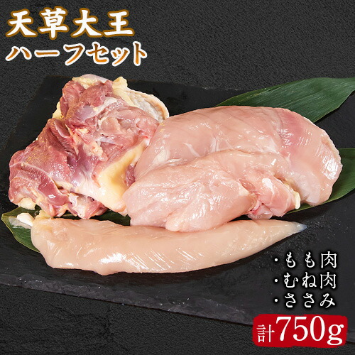 天草大王 ハーフセット 約750g【幻の地鶏】もも・むね・ささみ各1枚 熊本県産 葦北郡 津奈木町《60日以内に出荷予定(土日祝除く)》 2626324 - 熊本県津奈木町