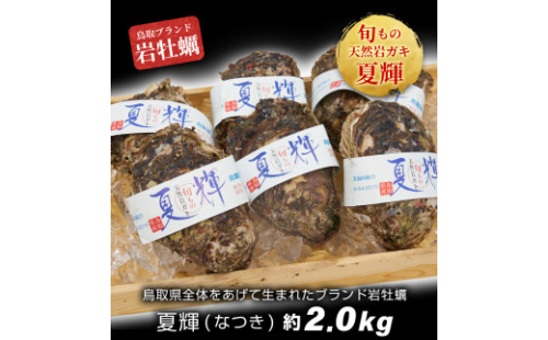 OM-28　岩牡蠣「夏輝」(約2kg) 2626339 - 鳥取県大山町