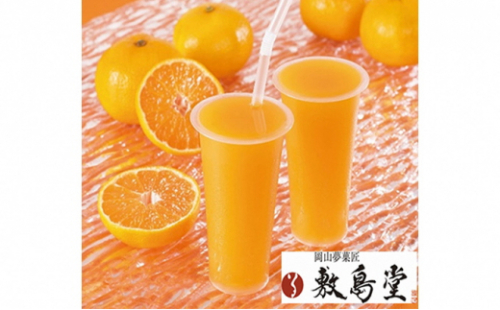 敷島堂 飲む 岡山瀬戸内みかんジュレ 6本入 [No.5735-0911] 2626390 - 岡山県瀬戸内市