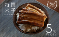 あなご料理専門店の～ふっくら肉厚～【特撰焼きあなご 5尾入】 [No.5735-0278]