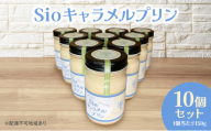 Sio キャラメルプリン 150g×10p セット プリン スイーツ デザート 岡山 瀬戸内市 [No.5735-2073]