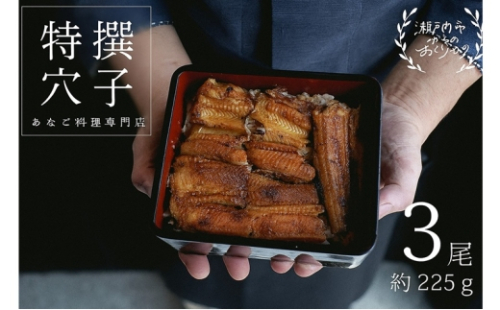 穴子 焼き穴子 3尾入 225g 蒲焼き 小分け 真空パック 厳選 特選 不揃い 小ぶり 魚貝類 魚介類 おかず 和食 魚料理 青島 冷蔵 冷蔵配送 岡山 岡山県 瀬戸内市 [No.5735-3385] 2626420 - 岡山県瀬戸内市