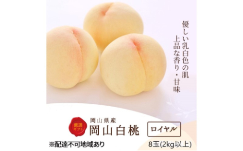 桃 2026年 先行予約 白桃 8玉(2kg以上)等級：ロイヤル 化粧箱入り もも モモ 岡山県産 国産 フルーツ 果物 セット ギフト[No.5735-3266] 2626464 - 岡山県瀬戸内市