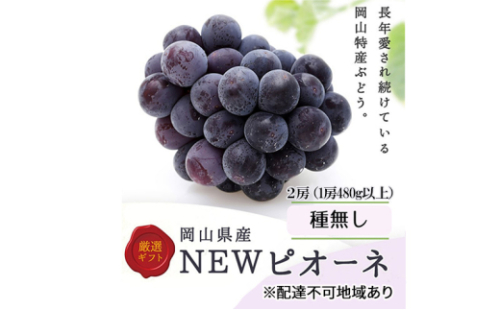 ぶどう 2026年 先行予約 ニューピオーネ 2房(1房480g以上) 化粧箱入り ブドウ 葡萄 岡山県産 国産 フルーツ 果物 ギフト[No.5735-3268] 2626471 - 岡山県瀬戸内市