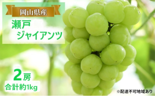 ぶどう 【2026年 早期受付】 瀬戸ジャイアンツ 2房 合計約1kg ブドウ 葡萄 岡山県産 国産 フルーツ 果物 ギフト [No.5735-2081] 2626483 - 岡山県瀬戸内市