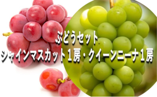 ぶどう 【2026年 早期受付】 ぶどうセット シャインマスカット 1房 ・ クイーンニーナ 1房（合計約1kg） ブドウ 葡萄 岡山県産 国産 フルーツ 果物 ギフト [No.5735-2084] 2626488 - 岡山県瀬戸内市