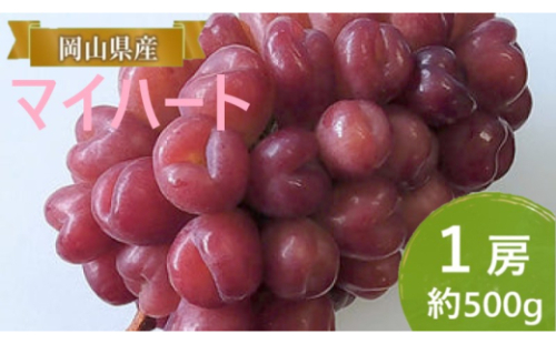 ぶどう 【2026年 早期受付】 マイハート 1房 約500g ブドウ 葡萄 岡山県産 国産 フルーツ 果物 ギフト [No.5735-2088] 2626492 - 岡山県瀬戸内市