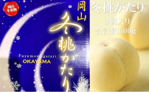 桃 【2026年 早期受付】 冬桃がたり 3個入り 合計約600g もも 岡山県産 国産 フルーツ 果物 ギフト[No.5735-2090] 2626494 - 岡山県瀬戸内市