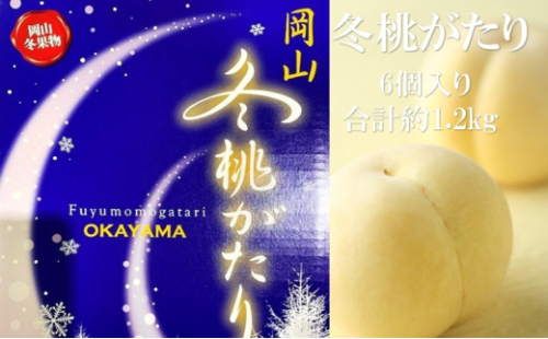 桃 【2026年 早期受付】 冬桃がたり 6個入り 合計約1.2kg もも 岡山県産 国産 フルーツ 果物 ギフト[No.5735-2091] 2626495 - 岡山県瀬戸内市