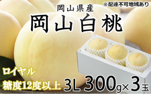 桃 2026年 先行予約 岡山 白桃 ロイヤル 3玉×約300g（3Lサイズ）JAおかやまのもも（早生種・中生種） もも モモ 岡山県産 国産 フルーツ 果物 ギフト 2626516 - 岡山県瀬戸内市