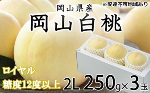 桃 2026年 先行予約 岡山 白桃 ロイヤル 3玉×約250g（2Lサイズ）JAおかやまのもも（早生種・中生種） もも モモ 岡山県産 国産 フルーツ 果物 ギフト 2626519 - 岡山県瀬戸内市