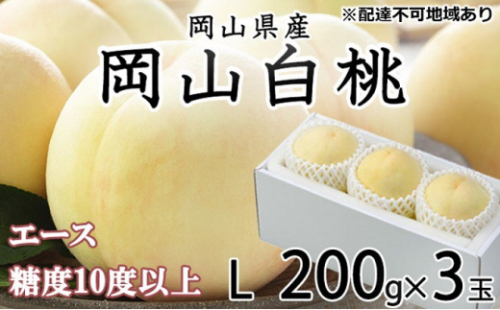 桃 2026年 先行予約 岡山 白桃 エース 3玉×約200g（Lサイズ） JAおかやまのもも（早生種・中生種） もも モモ 岡山県産 国産 フルーツ 果物 ギフト 2626520 - 岡山県瀬戸内市