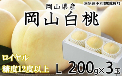桃 2026年 先行予約 岡山 白桃 ロイヤル 3玉×約200g（Lサイズ）JAおかやまのもも（早生種・中生種） もも モモ 岡山県産 国産 フルーツ 果物 ギフト 2626521 - 岡山県瀬戸内市