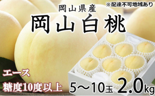桃 2026年 先行予約 岡山 白桃 エース 5～10玉 約2kg JAおかやまのもも（早生種・中生種） もも モモ 岡山県産 国産 フルーツ 果物 ギフト 2626524 - 岡山県瀬戸内市