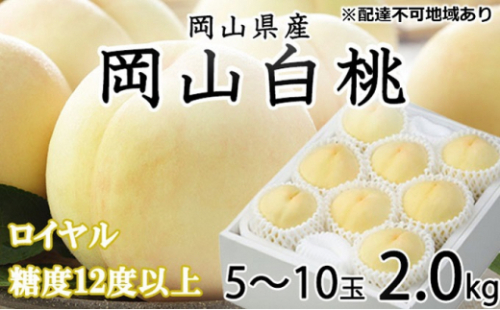 桃 2026年 先行予約 岡山 白桃 ロイヤル 5～10玉 約2kg JAおかやまのもも（早生種・中生種） もも モモ 岡山県産 国産 フルーツ 果物 ギフト 2626525 - 岡山県瀬戸内市