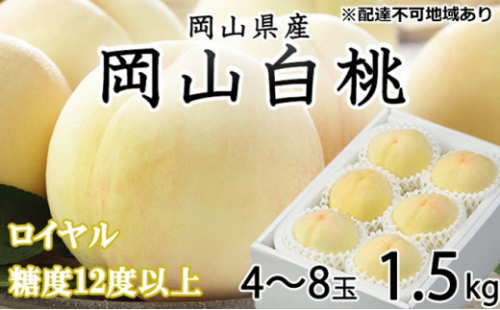 桃 2026年 先行予約 岡山 白桃 ロイヤル 4～8玉 約1.5kg JAおかやまのもも（早生種・中生種） もも モモ 岡山県産 国産 フルーツ 果物 ギフト 2626529 - 岡山県瀬戸内市