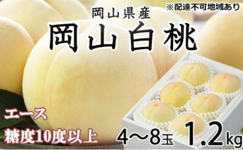桃 2026年 先行予約 岡山 白桃 エース4～8玉 約1.2kg JAおかやまのもも（早生種・中生種） もも モモ 岡山県産 国産 フルーツ 果物 ギフト 2626530 - 岡山県瀬戸内市
