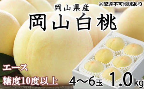 桃 2026年 先行予約 岡山 白桃 エース 4～6玉 約1kg JAおかやまのもも（早生種・中生種） もも モモ 岡山県産 国産 フルーツ 果物 ギフト 2626532 - 岡山県瀬戸内市