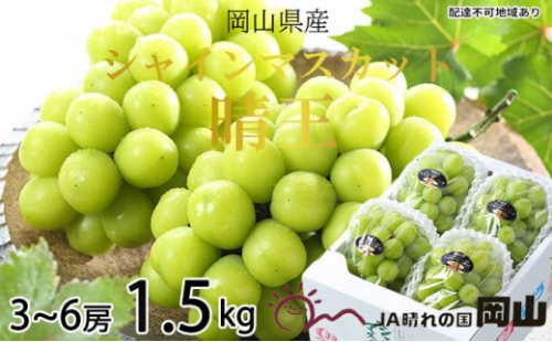 ぶどう 2026年 先行予約 シャイン マスカット 晴王 3房～6房 約1.5kg 7月上旬～8月中旬発送 ブドウ 葡萄  岡山県産 国産 フルーツ 果物 ギフト 2626537 - 岡山県瀬戸内市