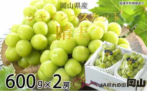 ぶどう 2026年 先行予約 シャイン マスカット 晴王 約600g×2房 7月上旬～8月中旬発送 ブドウ 葡萄  岡山県産 国産 フルーツ 果物 ギフト 2626538 - 岡山県瀬戸内市