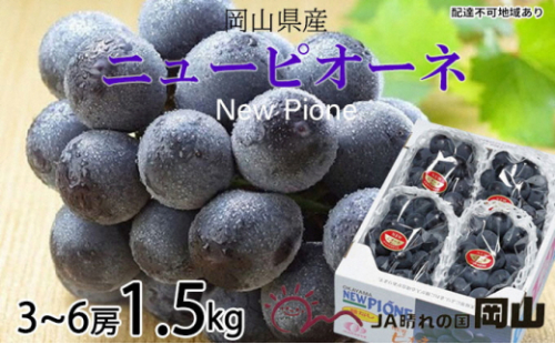 ぶどう 2026年 先行予約 ニュー ピオーネ 3房～6房 約1.5kg 6月下旬～7月下旬発送 ブドウ 葡萄  岡山県産 国産 フルーツ 果物 ギフト 果物類 種なし デザート 食後 おやつ 産地直送 2626545 - 岡山県瀬戸内市