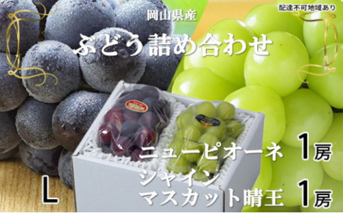 ぶどう 2026年 先行予約 ニュー ピオーネ 1房 約400g シャイン マスカット 晴王 1房 約400g 詰め合わせ 6月下旬～7月中旬発送 岡山県産 国産 フルーツ 果物 ギフト 種なし 2626551 - 岡山県瀬戸内市