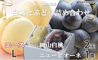 岡山白桃 エース 2玉×約200g（Lサイズ、早生種・中生種）ニューピオーネ 1房約400g 詰合せ 岡山県産