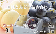 岡山白桃 エース 2玉×約300g（3Lサイズ、早生種・中生種）ニューピオーネ 1房約600g 詰合せ 岡山県産