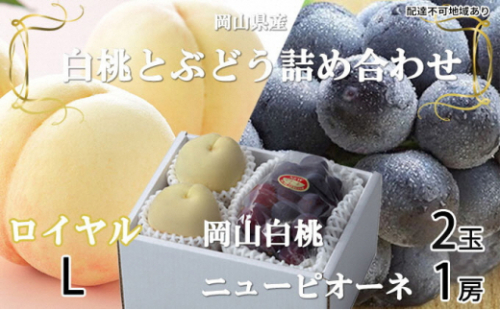 岡山白桃 ロイヤル 2玉×約200g（Lサイズ、早生種・中生種）ニューピオーネ 1房約400g 詰合せ 岡山県産 2626557 - 岡山県瀬戸内市