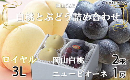 岡山白桃 ロイヤル 2玉×約300g（3Lサイズ、早生種・中生種）ニューピオーネ 1房約600g 詰合せ 岡山県産 2626559 - 岡山県瀬戸内市