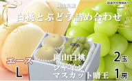 岡山白桃 エース 2玉×約200g（Lサイズ、早生種・中生種）シャインマスカット 晴王 1房約400g 詰合せ 岡山県産