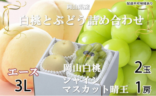 岡山白桃 エース 2玉×約300g（3Lサイズ、早生種・中生種）シャインマスカット 晴王 1房約600g 詰合せ 岡山県産 2626562 - 岡山県瀬戸内市