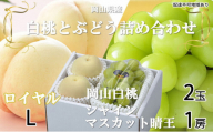 岡山白桃 ロイヤル 2玉×約200g（Lサイズ、早生種・中生種）シャインマスカット 晴王 1房約400g 詰合せ 岡山県産