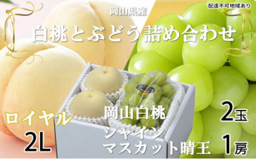 岡山白桃 ロイヤル 2玉×約250g（2Lサイズ、早生種・中生種）シャインマスカット 晴王 1房約500g 詰合せ 岡山県産 2626564 - 岡山県瀬戸内市
