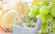 岡山白桃 ロイヤル 2玉×約250g（2Lサイズ、早生種・中生種）シャインマスカット 晴王 1房約500g 詰合せ 岡山県産