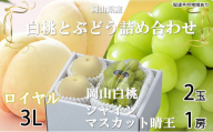 岡山白桃 ロイヤル 2玉×約300g（3Lサイズ、早生種・中生種）シャインマスカット 晴王 1房約600g 詰合せ 岡山県産