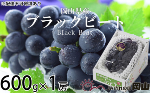 ぶどう 2026年 先行予約 ブラックビート 約600g×1房 ブドウ 葡萄  岡山県産 国産 フルーツ 果物 ギフト 岡山のぶどう 岡山の果物 デザート 食後 種無し 大粒 甘味 酸味 バランス [No.5735-1754] 2626568 - 岡山県瀬戸内市