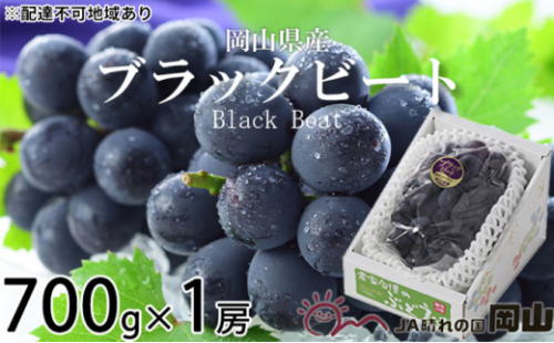 ぶどう 2026年 先行予約 ブラックビート 約700g×1房 ブドウ 葡萄  岡山県産 国産 フルーツ 果物 ギフト 岡山のぶどう 岡山の果物 デザート 食後 種無し 大粒 甘味 酸味 バランス [No.5735-1755] 2626569 - 岡山県瀬戸内市
