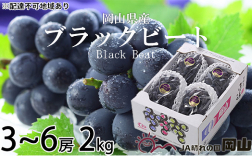 ぶどう 2026年 先行予約 ブラックビート 約2kg 3～6房 ブドウ 葡萄  岡山県産 国産 フルーツ 果物 ギフト 岡山のぶどう 岡山の果物 デザート 食後 種無し 大粒 甘味 酸味 バランス [No.5735-1760] 2626575 - 岡山県瀬戸内市