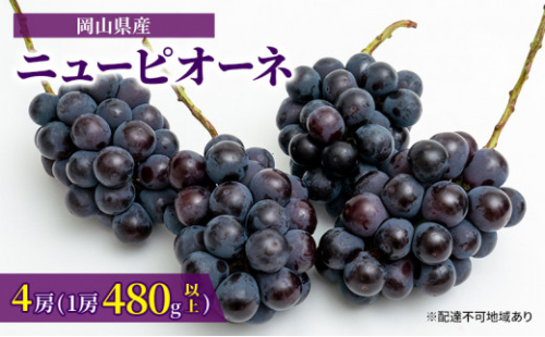 ぶどう 2026年 先行予約 ニュー ピオーネ 4房（1房480g以上）約2kg ブドウ 葡萄  岡山県産 国産 フルーツ 果物 ギフト 甘みが強い 酸味 皮離れがいい 大粒 食べ応え  [No.5735-1463] 2626593 - 岡山県瀬戸内市