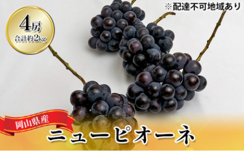 ぶどう 2026年 先行予約 ニュー ピオーネ 4房（合計約2kg） ブドウ 葡萄  岡山県産 国産 フルーツ 果物 ギフト   [No.5735-1446] 2626609 - 岡山県瀬戸内市