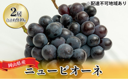 ぶどう 2026年 先行予約 ニュー ピオーネ 2房（合計約940g）化粧箱入り ブドウ 葡萄  岡山県産 国産 フルーツ 果物 ギフト   [No.5735-1447] 2626610 - 岡山県瀬戸内市