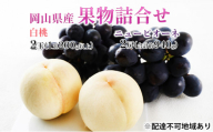 桃 ぶどう 2026年 先行予約 果物詰合せ 白桃 2玉（1玉200g以上） ニュー ピオーネ 2房（合計約940g）化粧箱入り 岡山県産 国産 フルーツ 果物 ギフト  贈り物 セット  [No.5735-1450]