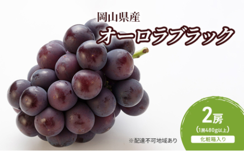 ぶどう 2026年 先行予約 オーロラブラック 2房(1房480g以上)　化粧箱入り ブドウ 葡萄 岡山県産 国産 フルーツ 果物 ギフト [No.5735-2052] 2626636 - 岡山県瀬戸内市