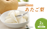 梨 2026年 先行予約 あたご梨 2玉（約1.7kg） 化粧箱入り なし ナシ 岡山県産 国産 フルーツ 果物 ギフト [No.5735-2058]