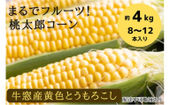 ［2026年先行予約］牛窓産とうもろこし まるでフルーツ！最高糖度25度超え 生で甘い、茹でて美味い！ 黄色 とうもろこし 桃太郎コーン 約4kg（8～12本入り） 野菜 夏野菜 とうもろこし トウモロコシ コーン 産地直送 冷蔵 旬 期間限定