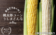 ［2026年先行予約］牛窓産とうもろこし まるでフルーツ！生で甘い、茹でて美味い！「桃太郎コーン」と「うしまどんな」のセット 約4kg 8～12本入り 野菜 夏野菜 トウモロコシ とうもろこし ホワイトコーン 食べ比べ 産地直送 冷蔵