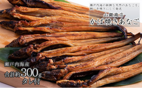 あなご 先行予約 山銀商店 かば焼き あなご (合計約300g)  産地直送 穴子 魚介類[No.5735-0706] 2626668 - 岡山県瀬戸内市