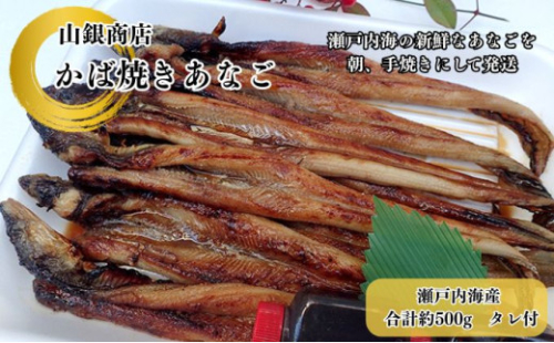 あなご 先行予約 山銀商店 かば焼き あなご (合計約500g) 産地直送 穴子 魚介類 アナゴ[No.5735-0707] 2626669 - 岡山県瀬戸内市